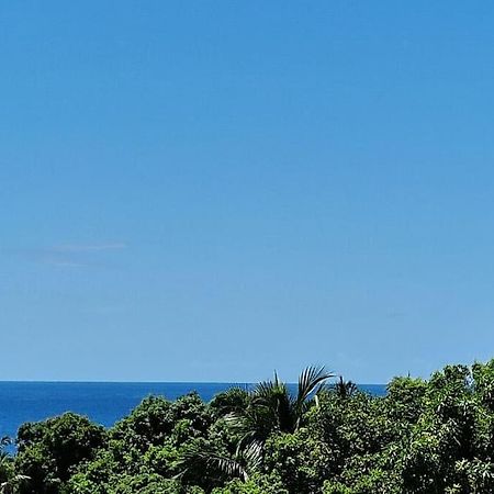 ויו-הביטה Joli T2 En Bas De Villa Vue Jardin Et Mer מראה חיצוני תמונה